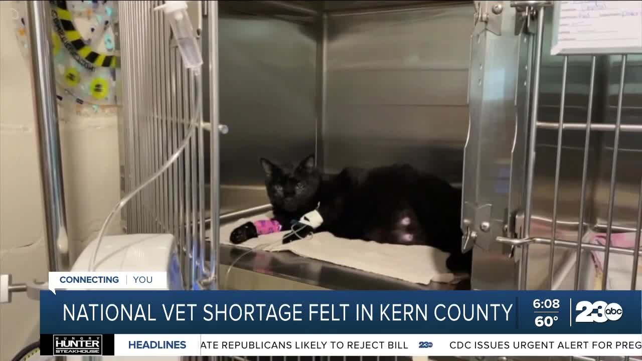 National Veterinarian shortage felt in Kern County