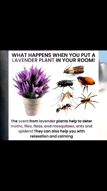 ❗️DO NOT EAT❗️ Gates Funded Toxic Fruit Coating.