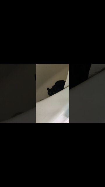 Shadow Attack - Part 1