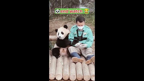 end watch 😂🐼...... #humble #trending #viral #panda