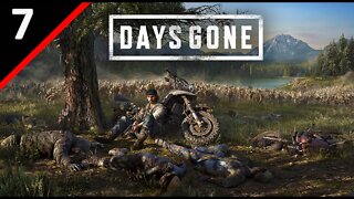 🔴 [PC] Days Gone l Survival II Difficulty (Hardest Difficulty) l Part 7