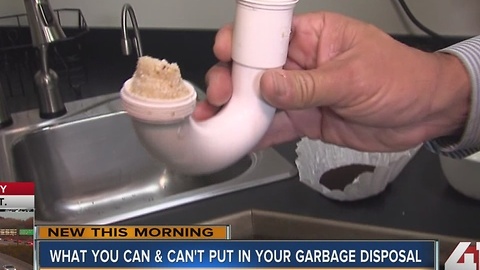 What you can and can't put in your garbage disposal