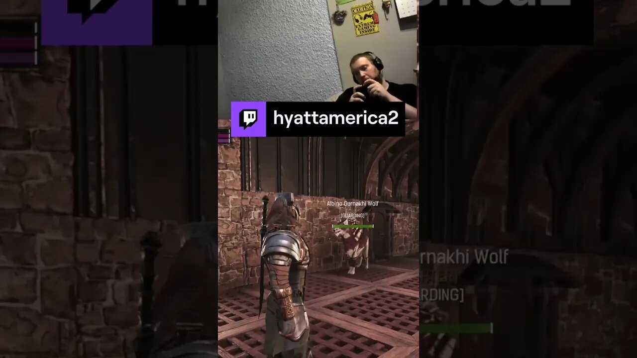 Surviving The Exiled Lands | hyattamerica2 on #Twitch