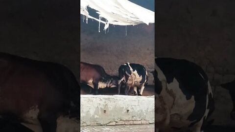 #karta_karta_ohi_kam #viral_video_shorts