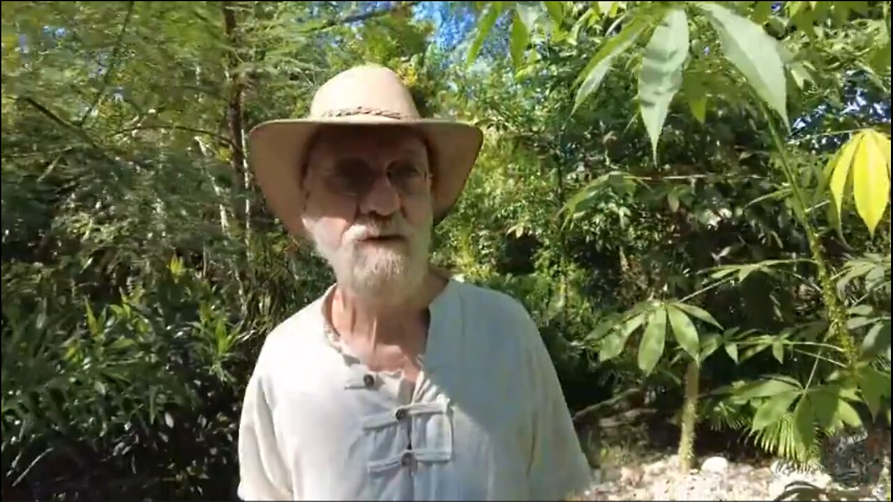 Max Igan - The World Has a Rat Problem