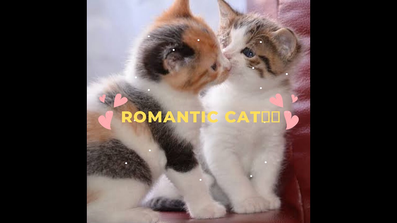 Romantic Catππ