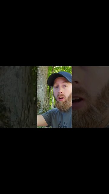 gx compressor still going strong...💪👊💥