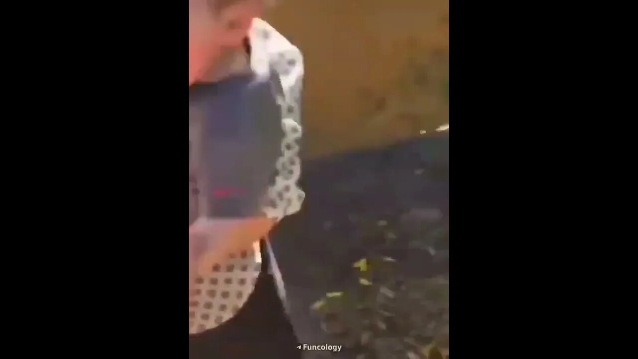 Short: GOTOZO