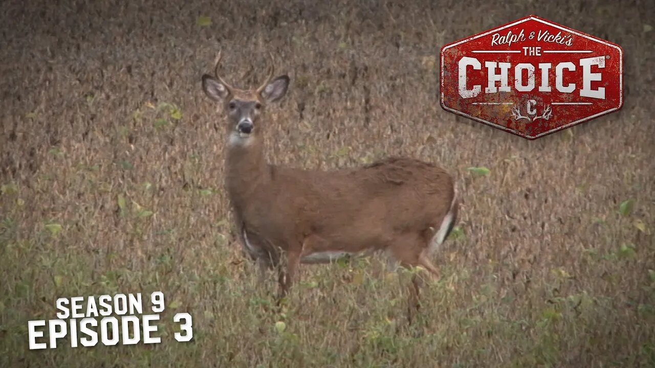 Kid’s Hunting Dream! - The Choice (Full Episode) // S9: Episode 3