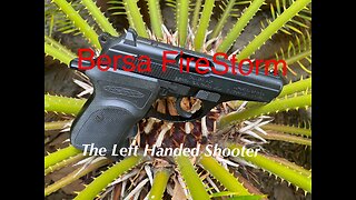 Bersa FireStorm