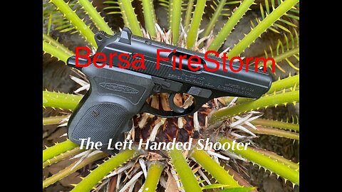 Bersa FireStorm