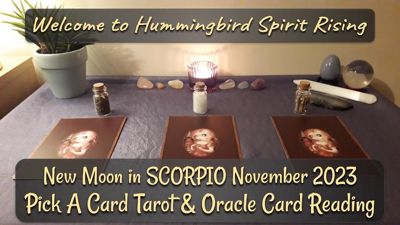 New Moon in SCORPIO November 2023 - Pick A Card Tarot Reading