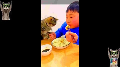 Funny Cat Video | Latest new (2023)