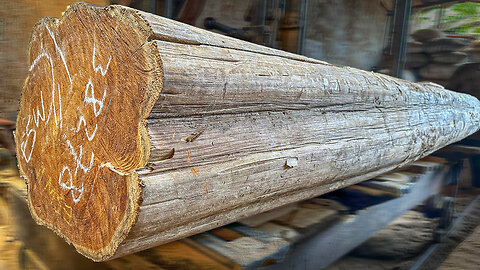 very awesome process of sawing giant log