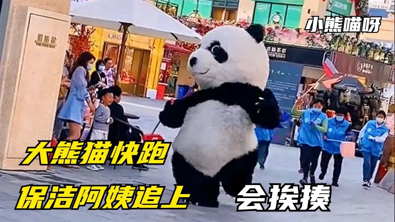 一只步伐妖娆的“大熊猫”,呆萌可爱天天被追着打,他到底经历了什么
