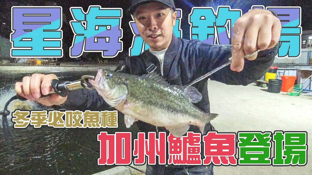 【台客去釣魚】海釣場冬天換季嚕！冬季爆咬魚種登場，順便帶了幾隻可愛版龍膽回家吃！ feat.星海海釣場