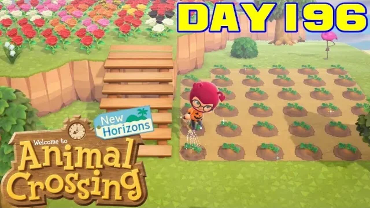 Animal Crossing: New Horizons Day 196 - Nintendo Switch Gameplay 😎Benjamillion