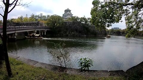 Relaxing Vibe with Nature in Japan