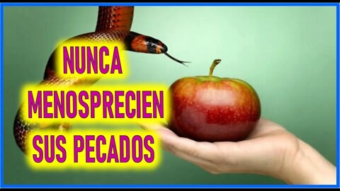 MENSAJE DE JESUCRISTO REY A JAVIER VIESCA - NUNCA MENOSPRECIEN SUS PECADOS