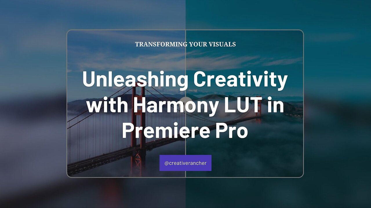 Transforming Your Visuals Unleashing Creativity with Harmony LUT in Premiere Pro