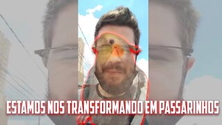 ESTAMOS VIRANDO PASSARINHOS?! #shorts - ACESSO AO MUNDO