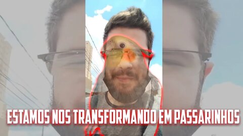 ESTAMOS VIRANDO PASSARINHOS?! #shorts - ACESSO AO MUNDO