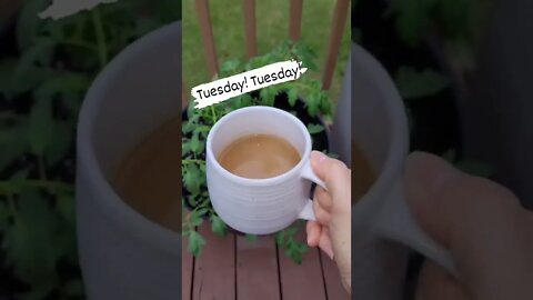Coffee Morning