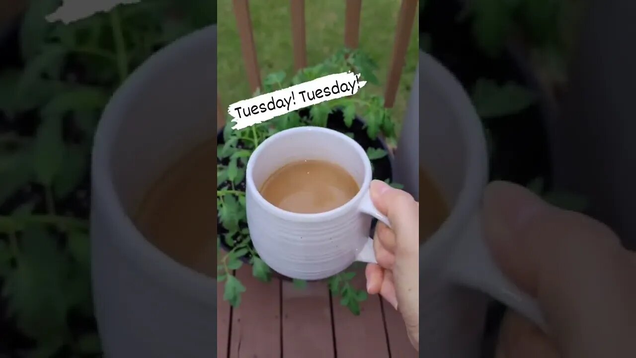 Coffee Morning