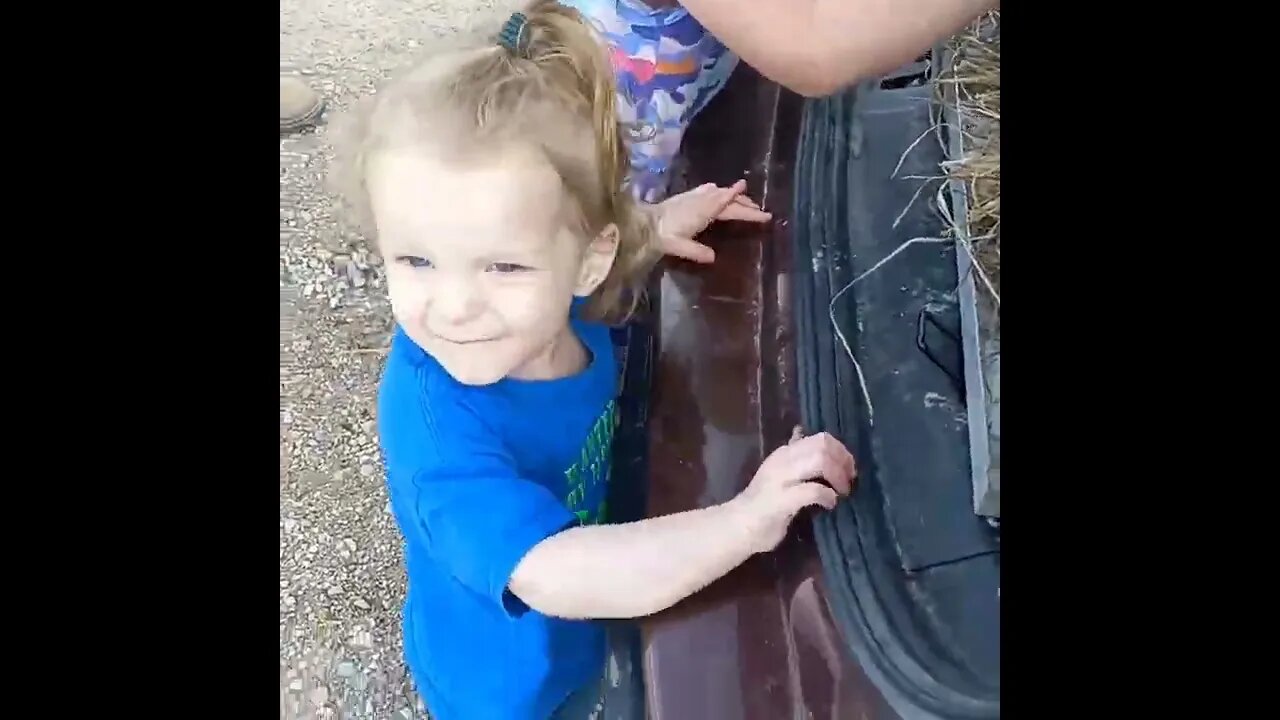 NEW ADDITION TO THE HOMESTEAD! DUAL PURPOSE FOOD SUPPLY