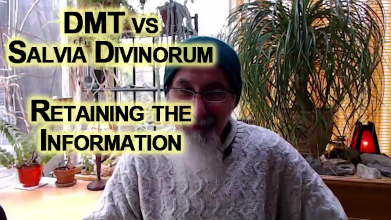 DMT vs Salvia Divinorum: Retaining the Information, a Major Upgrade to the Processing System [ASMR]