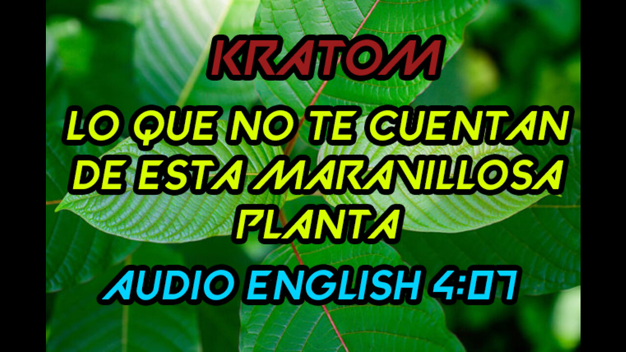 Kratom Investigacion ✅ Mitragyna speciosa Alternativa 🧐 Para El Dolor Cronico Y Euforizante