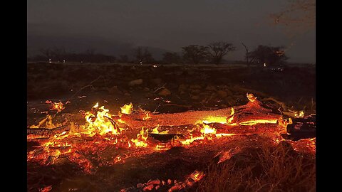 Hawaii wildfires declared an emergency as land is scorched 'like an apocalypse'