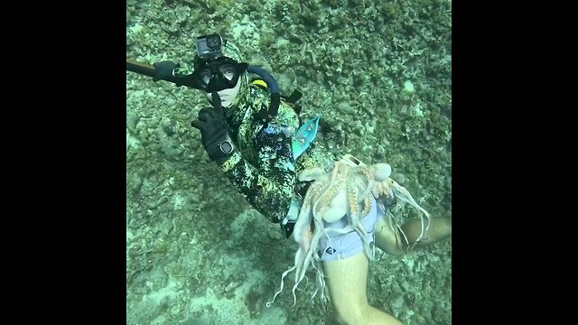 Strange Ways to Catch Octopus