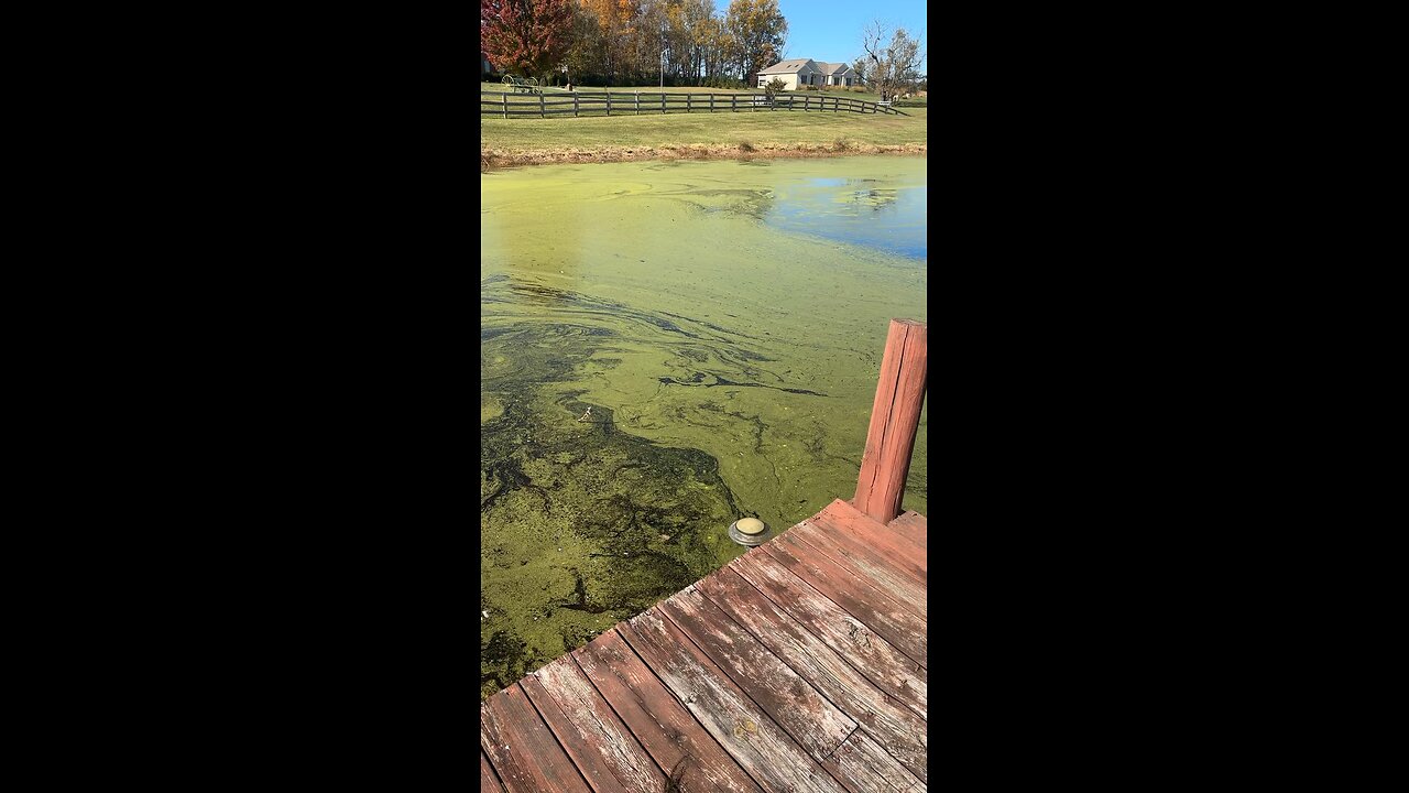Ribbit, have you guys ever caught a frog on a top water?