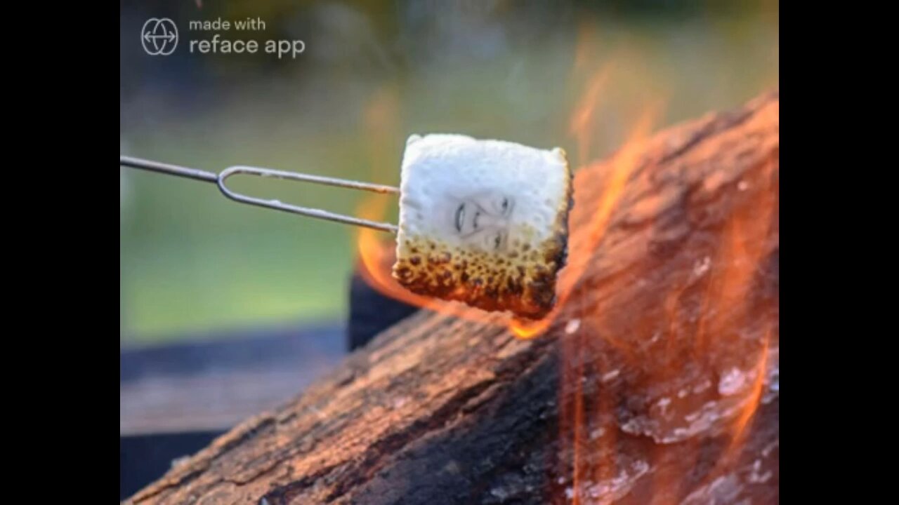 The Ultimate Donald Trump Marshmallow Meme!