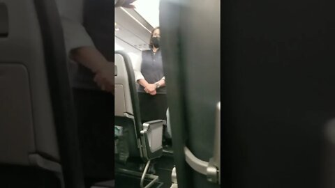 Flight Attendant Tyranny Part 2