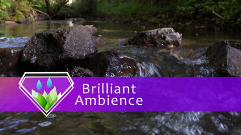 Relaxing Sound - Creek Deep in the Forest / Sleep, Study, Meditate / HQ Audio