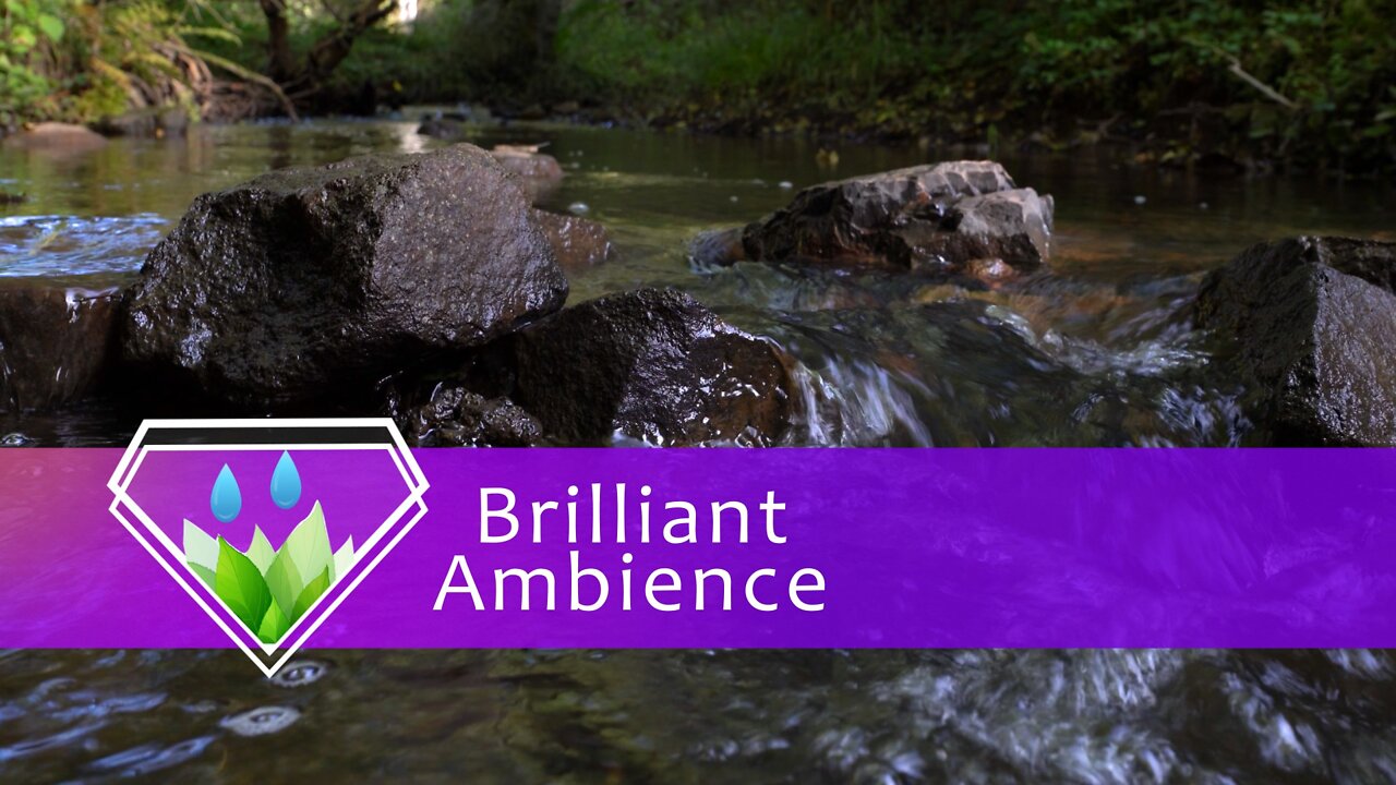 Relaxing Sound - Creek Deep in the Forest / Sleep, Study, Meditate / HQ Audio