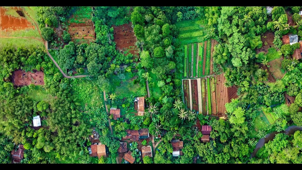 UNITED VEGAN WORLD WILL TERRAFORM THE EARTH THEN TRILLIONS OF ALIEN WORLDS =D
