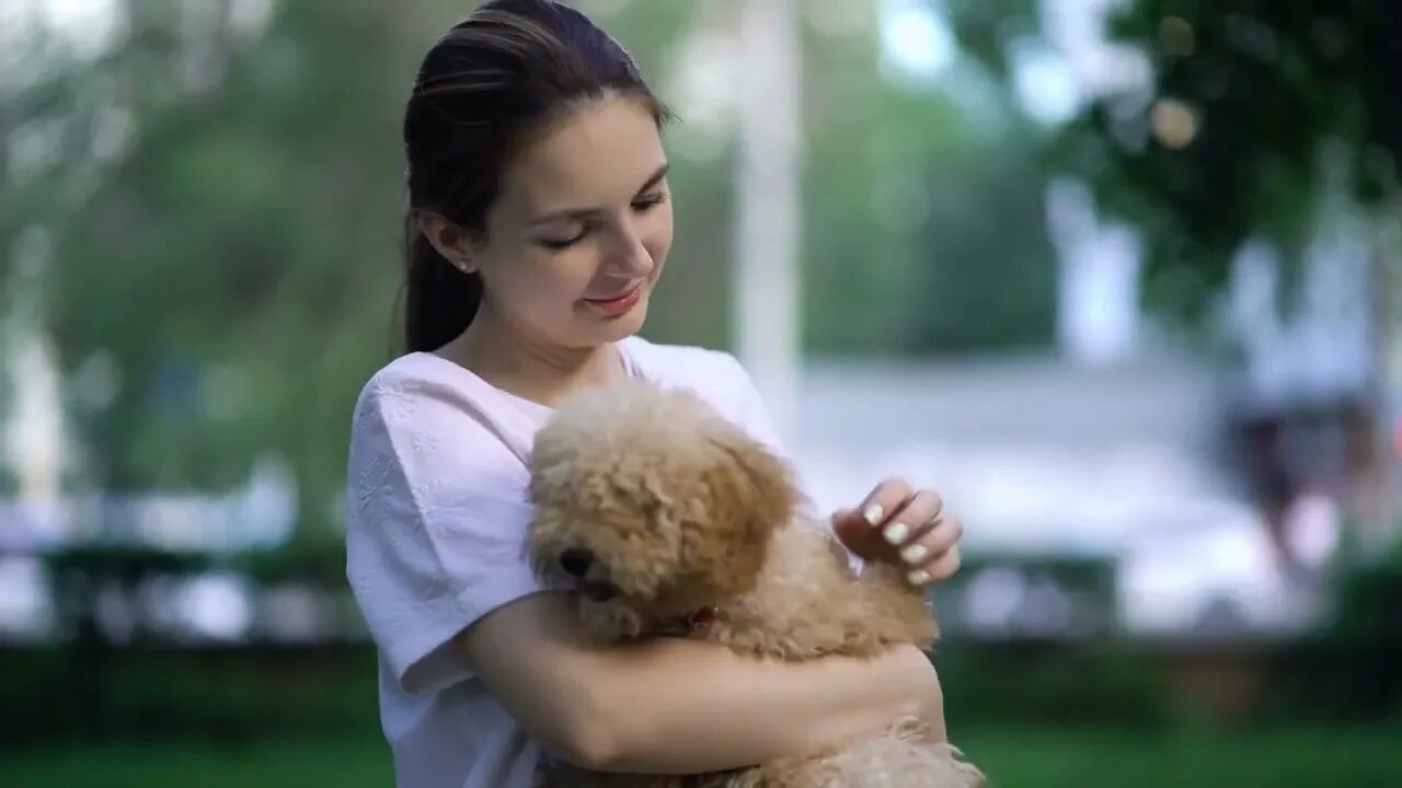 Woman with toy poodle walking in a park