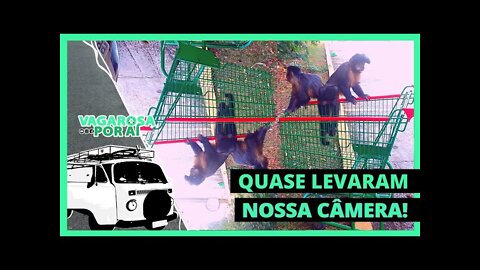 Últimos dias em ROSANA/SP antes de pegar a estrada rumo ao Paraná e olha o que aconteceu! 😂