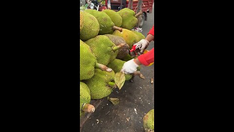 Jack fruit