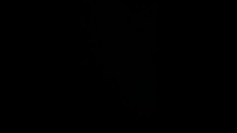 Political harassment