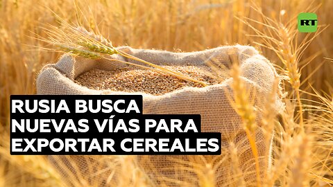 Rusia busca nuevas vías junto al Sur global para exportar cereales tras el fin del acuerdo de granos