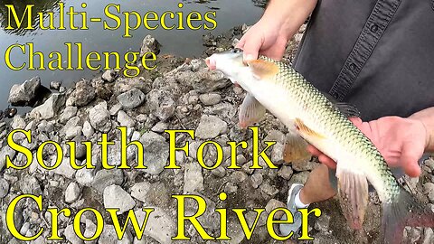 Fishing the South Fork Crow River - Watertown, MN