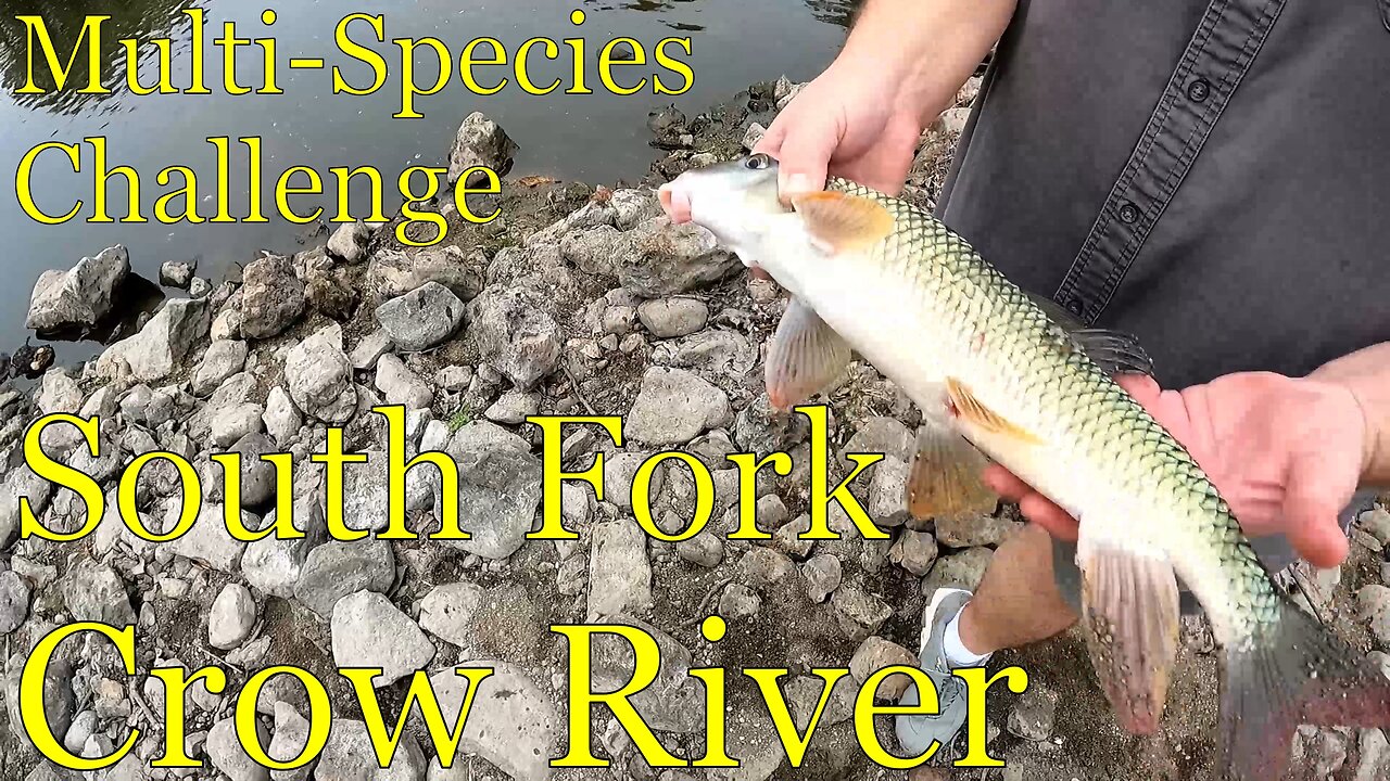 Fishing the South Fork Crow River - Watertown, MN