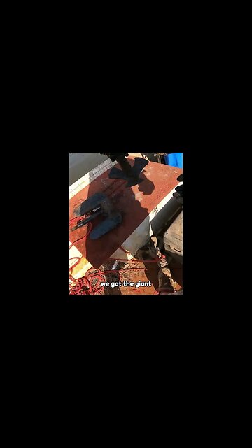 Magnet Fishing out a Hefty 28 Pound JACKPOT! #magnetfishing