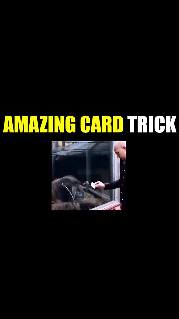 Amazing Card Trick