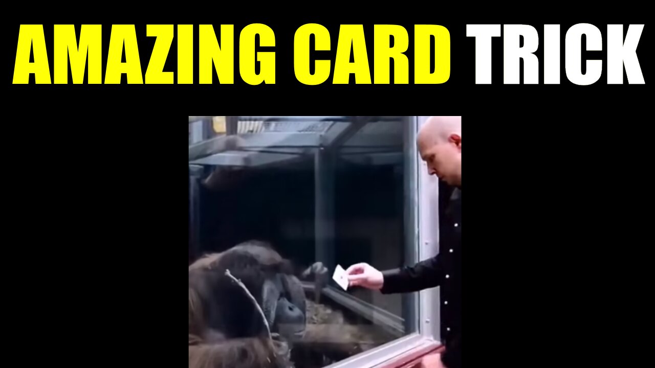 Amazing Card Trick