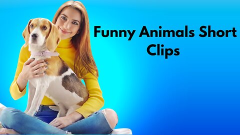 Funny Animals
